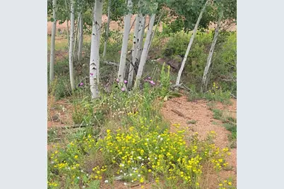 L1 B4 Columbine Circle, Woodland Park, CO 80863 - Photo 22