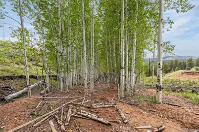 L1 B4 Columbine Circle, Woodland Park, CO 80863 - Photo 4