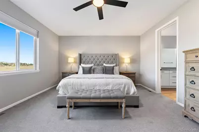 7007 Mentha Drive, Castle Rock, CO 80108 - Photo 22