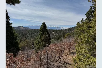 Trail Drive, Cotopaxi, CO 81223 - Photo 4