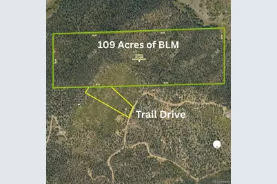 Trail Drive, Cotopaxi, CO 81223 - Photo 8