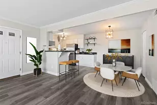 410 Zang St, Lakewood, CO 80228 - Photo 8