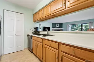 7379 Gore Range, Littleton, CO 80127 - Photo 10
