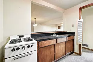 4600 Grove St, Denver, CO 80211 - Photo 22