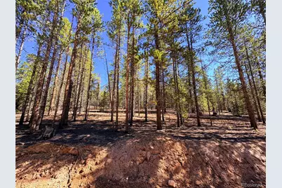 323 Aspen Drive, Leadville, CO 80461 - Photo 8