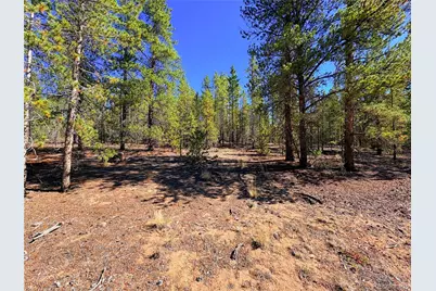 323 Aspen Drive, Leadville, CO 80461 - Photo 6