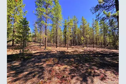 323 Aspen Drive, Leadville, CO 80461 - Photo 4