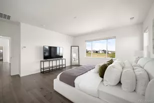 14391 Shasta Daisy Pt, Parker, CO 80134 - Photo 28