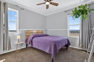 7902 E 49th Pl, Denver, CO 80238 - Photo 22