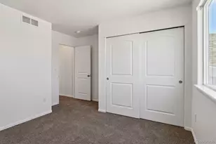 719 Elk Mountain Dr, Severance, CO 80550 - Photo 28