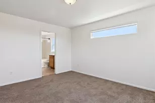 719 Elk Mountain Dr, Severance, CO 80550 - Photo 32