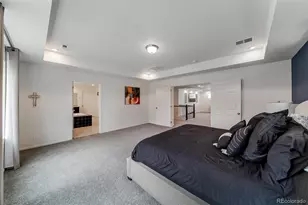 4974 Liverpool St, Denver, CO 80249 - Photo 18