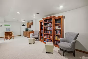 9381 McShane Ct, Parker, CO 80134 - Photo 22