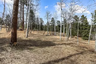 19184 Silver Ranch Rd, Conifer, CO 80433 - Photo 36