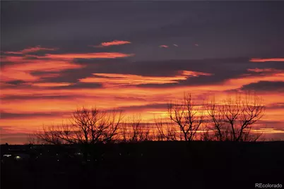 10510 Paxton Court, Parker, CO 80134 - Photo 44