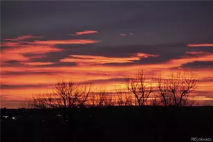 10510 Paxton Ct, Parker, CO 80134 - Photo 44