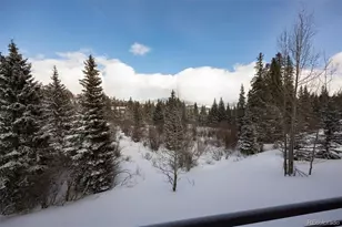 10000 Ryan Gulch Rd, Silverthorne, CO 80498 - Photo 20