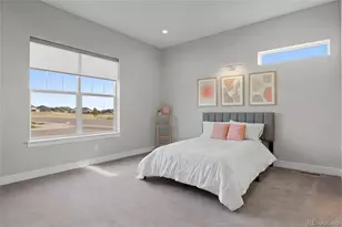 3202 Wingspan Pt, Castle Rock, CO 80108 - Photo 20