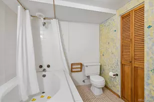 294 Short Pl, Louisville, CO 80027 - Photo 28
