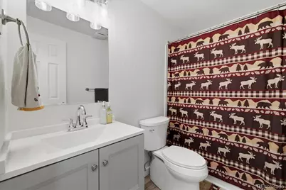 525 Badger Creek Drive, Brighton, CO 80601 - Photo 28