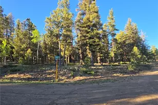 Chubb Ct, Buena Vista, CO 81211 - Photo 1