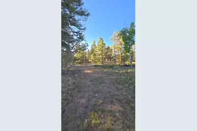 Chubb Court, Buena Vista, CO 81211 - Photo 12