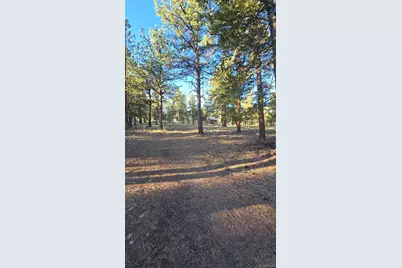 Chubb Court, Buena Vista, CO 81211 - Photo 4