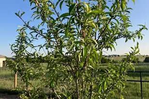 5355 Sunflower Ln, Pueblo, CO 81004 - Photo 42