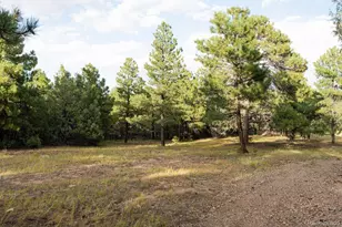 538 Rugby Mines Rd, Walsenburg, CO 81089 - Photo 50