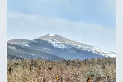 2515 High Creek Road, Fairplay, CO 80440 - Photo 44