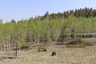 687 Corral Road, Hartsel, CO 80449 - Photo 12