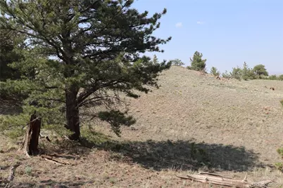 687 Corral Road, Hartsel, CO 80449 - Photo 18