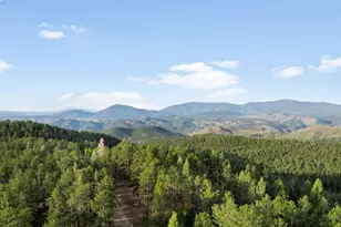 29700 S Sunset Trail, Conifer, CO 80433 - Photo 46