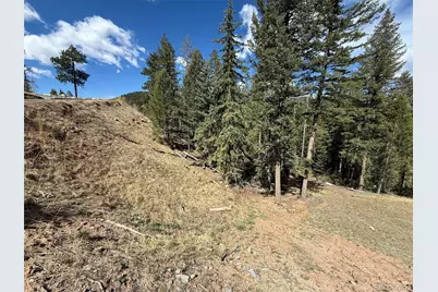 6845 Lynx Lair Road, Evergreen, CO 80439 - Photo 4