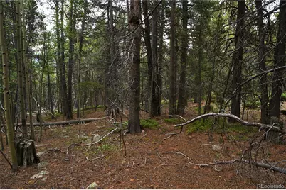 00 Lamartine Road, Idaho Springs, CO 80452 - Photo 20