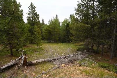 00 Lamartine Road, Idaho Springs, CO 80452 - Photo 22