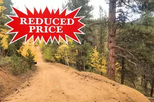 342 & 366 Brown St, Bailey, CO 80421 - Photo 1