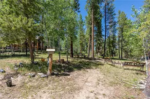 22003 Eggers Ave, Conifer, CO 80433 - Photo 20