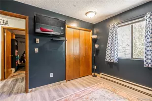 22003 Eggers Ave, Conifer, CO 80433 - Photo 12