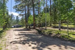 22003 Eggers Ave, Conifer, CO 80433 - Photo 24
