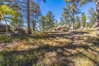 Lot 5A & 5B, Red Feather Lakes, CO 80545 - Photo 12