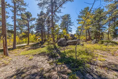 Lot 5A & 5B, Red Feather Lakes, CO 80545 - Photo 6