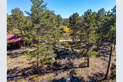 Lot 5A & 5B, Red Feather Lakes, CO 80545 - Photo 28
