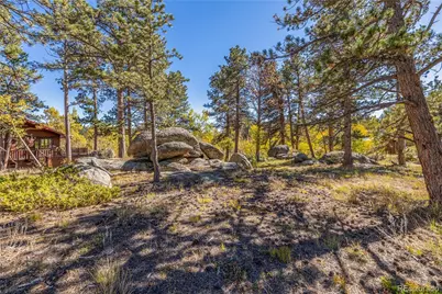 Lot 5A & 5B, Red Feather Lakes, CO 80545 - Photo 8