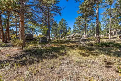 Lot 5A & 5B, Red Feather Lakes, CO 80545 - Photo 4
