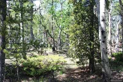 6050 Virginia Canyon Road, Central City, CO 80427 - Photo 4