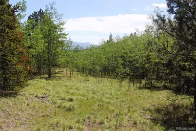 6050 Virginia Canyon Road, Central City, CO 80427 - Photo 20