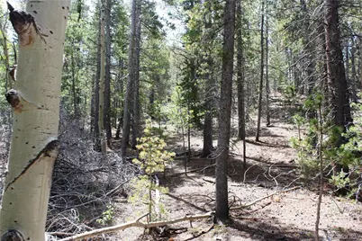6050 Virginia Canyon Road, Central City, CO 80427 - Photo 30