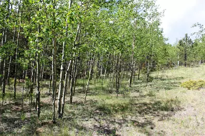 6050 Virginia Canyon Road, Central City, CO 80427 - Photo 26
