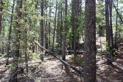 6050 Virginia Canyon Road, Central City, CO 80427 - Photo 32